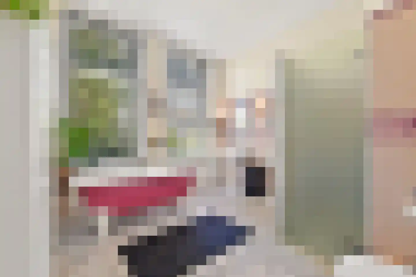 Frankenslag 153 Den Haag thumbnail 49