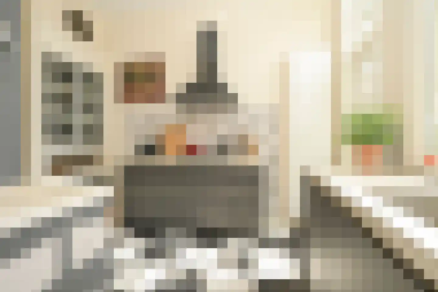 Frankenslag 182 Den Haag thumbnail 28