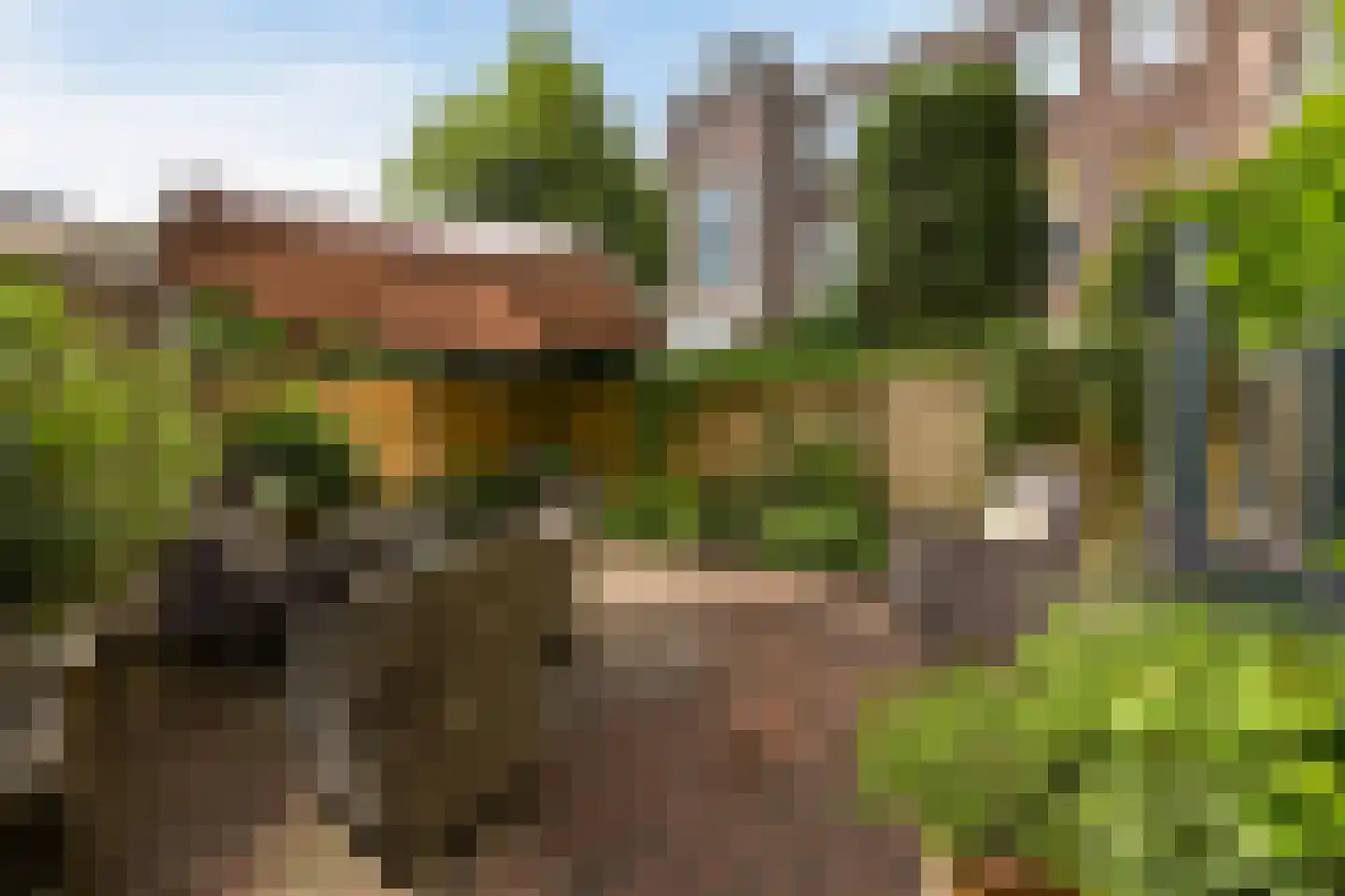 Frankenslag 182 Den Haag thumbnail 34