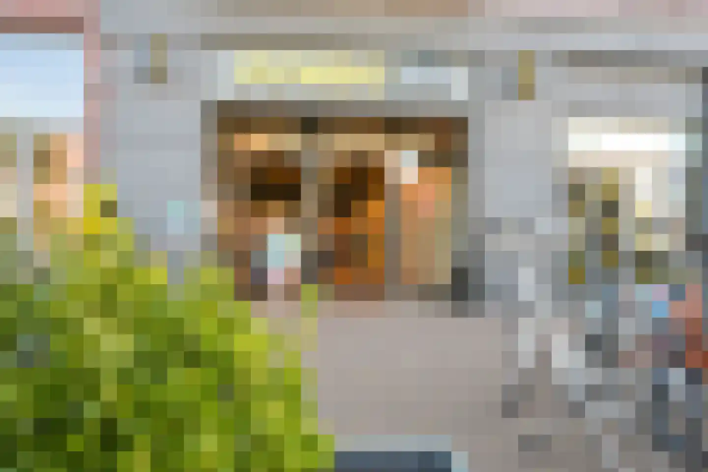 Frankenslag 182 Den Haag thumbnail 82