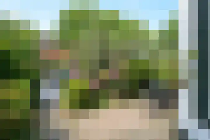 Frankenslag 20 Den Haag thumbnail 64