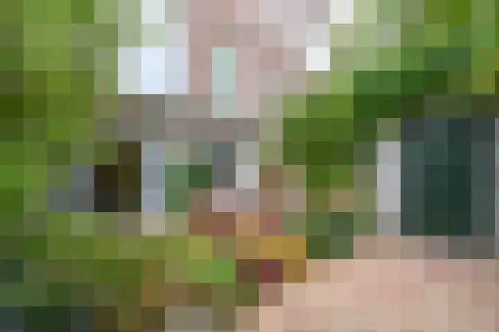 Frankenslag 29 A Den Haag thumbnail 11