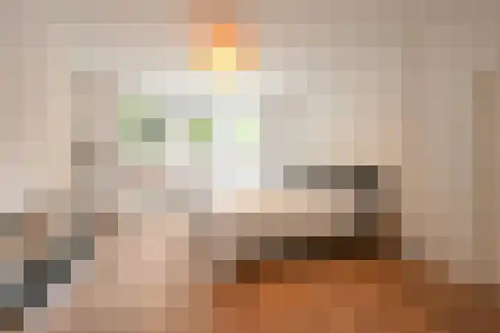 Frankenslag 29 A Den Haag thumbnail 16