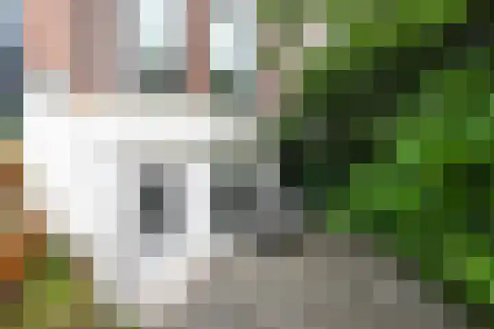 Frankenslag 29 A Den Haag thumbnail 29