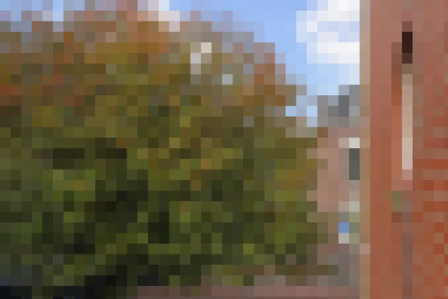 Frankenslag 296 Den Haag thumbnail 39