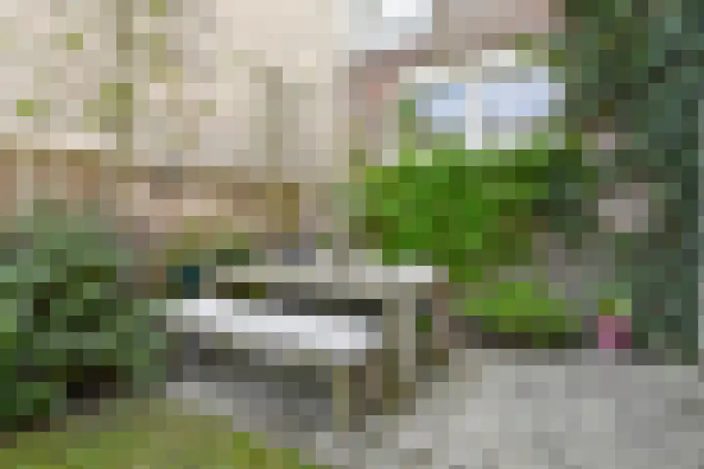 Frankenslag 308 Den Haag thumbnail 29