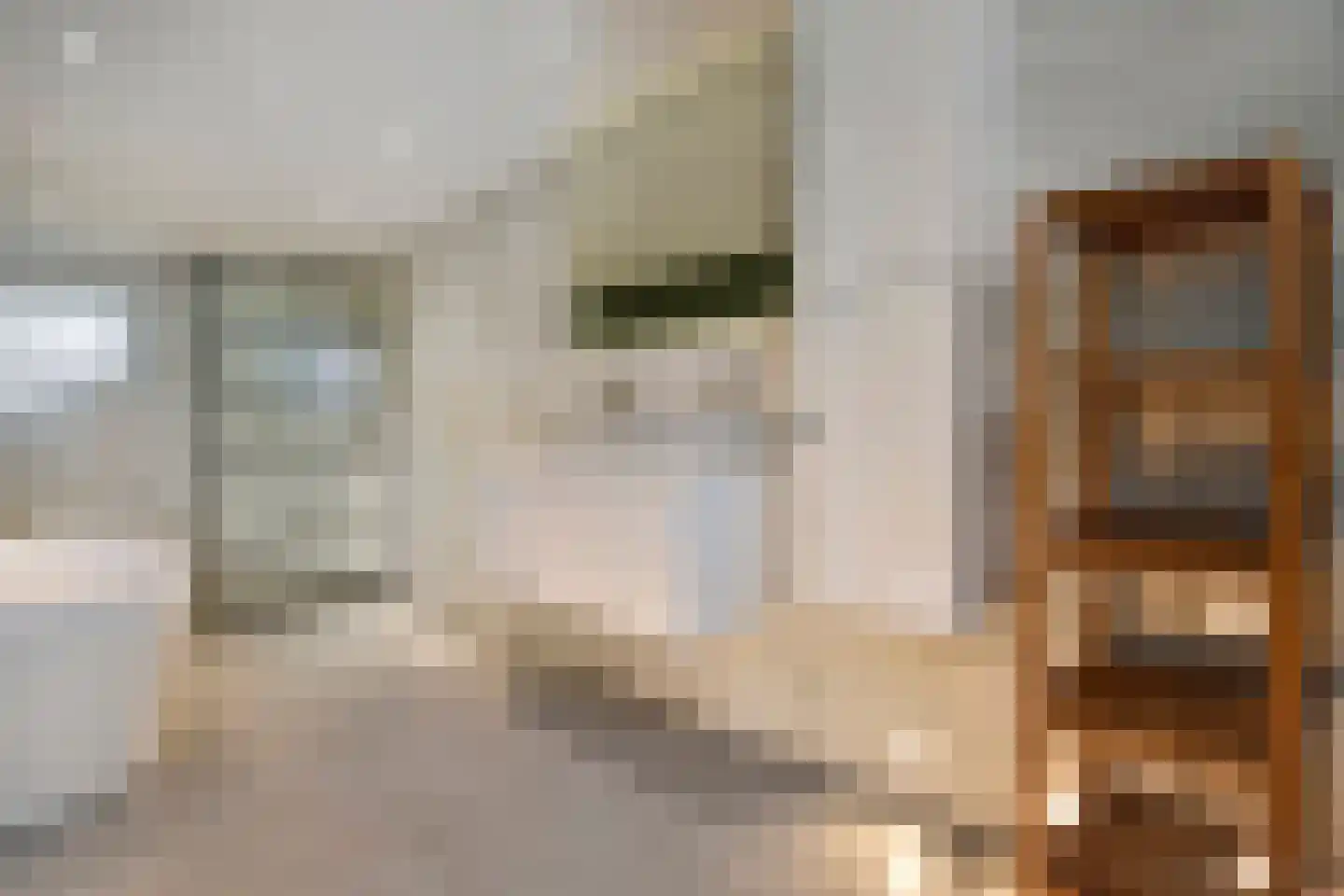 Frankenslag 308 Den Haag foto 3