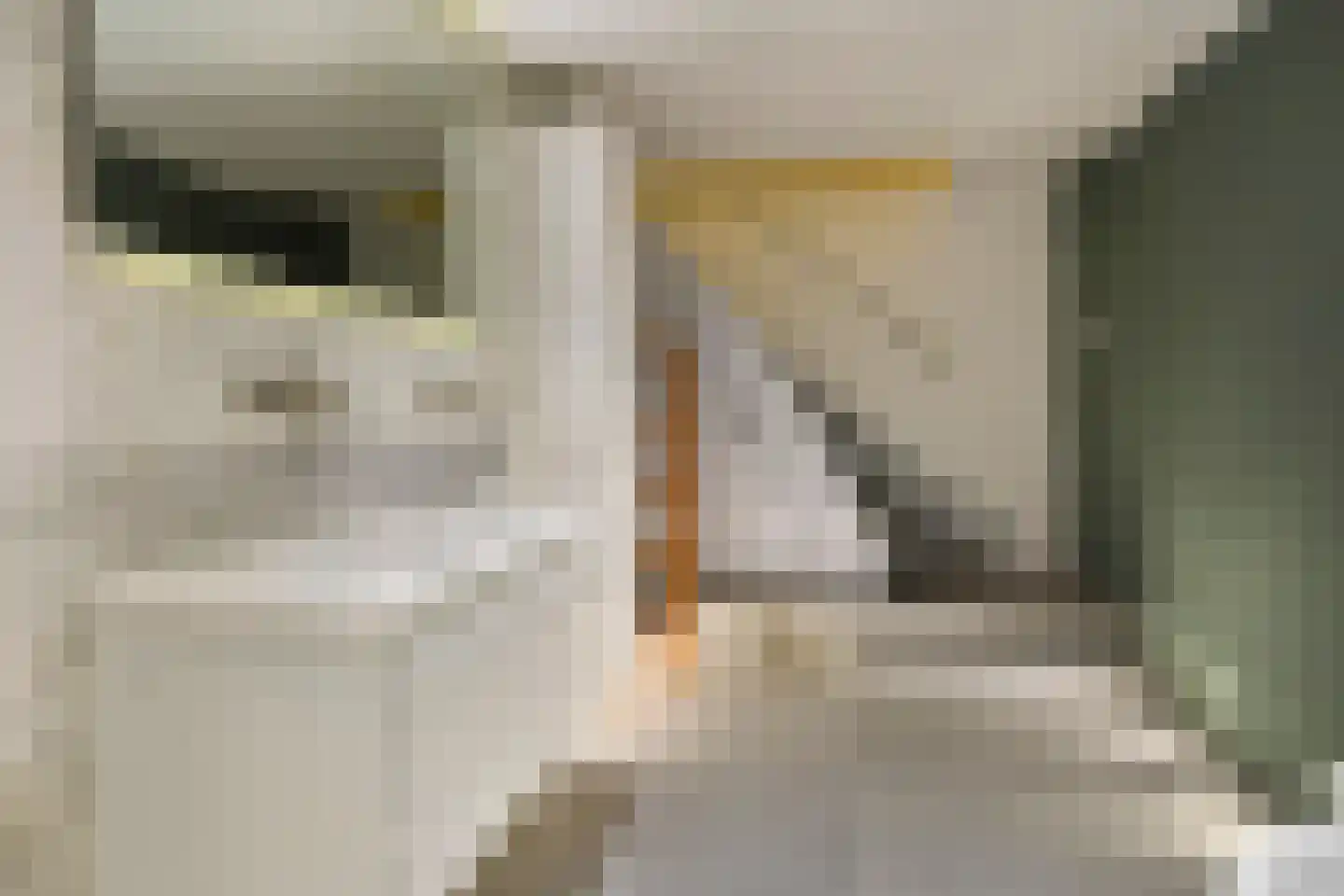 Frankenslag 308 Den Haag thumbnail 37