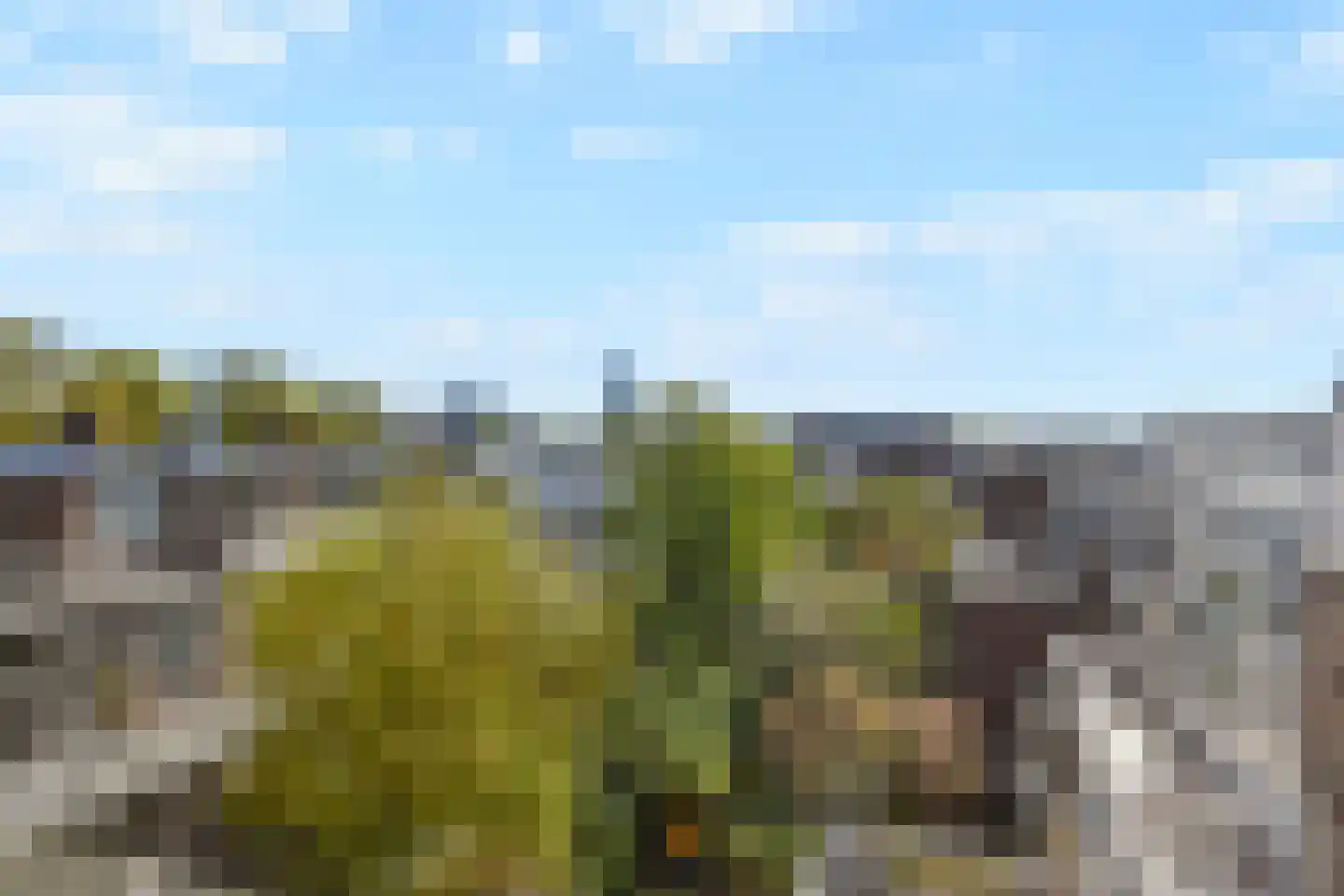 Frankenslag 308 Den Haag thumbnail 44