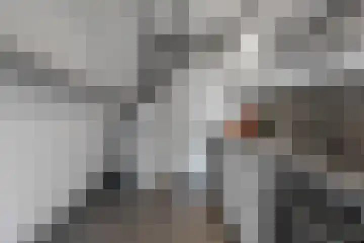 Frankenslag 310 B Den Haag thumbnail 18
