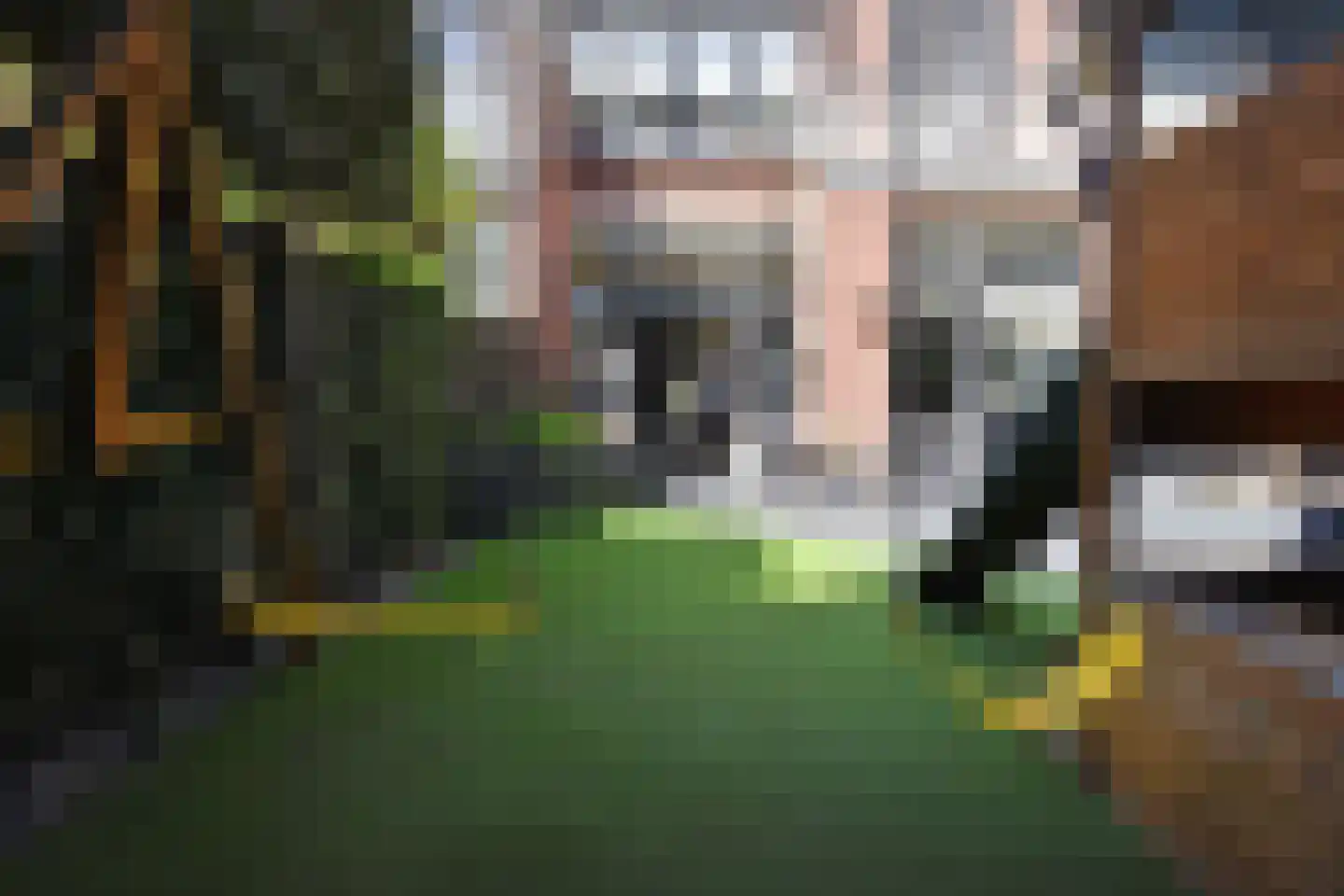 Frankenslag 316 Den Haag thumbnail 17