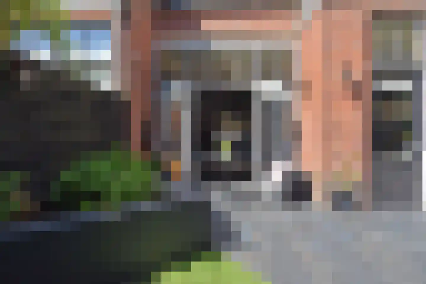 Frankenslag 316 Den Haag thumbnail 19