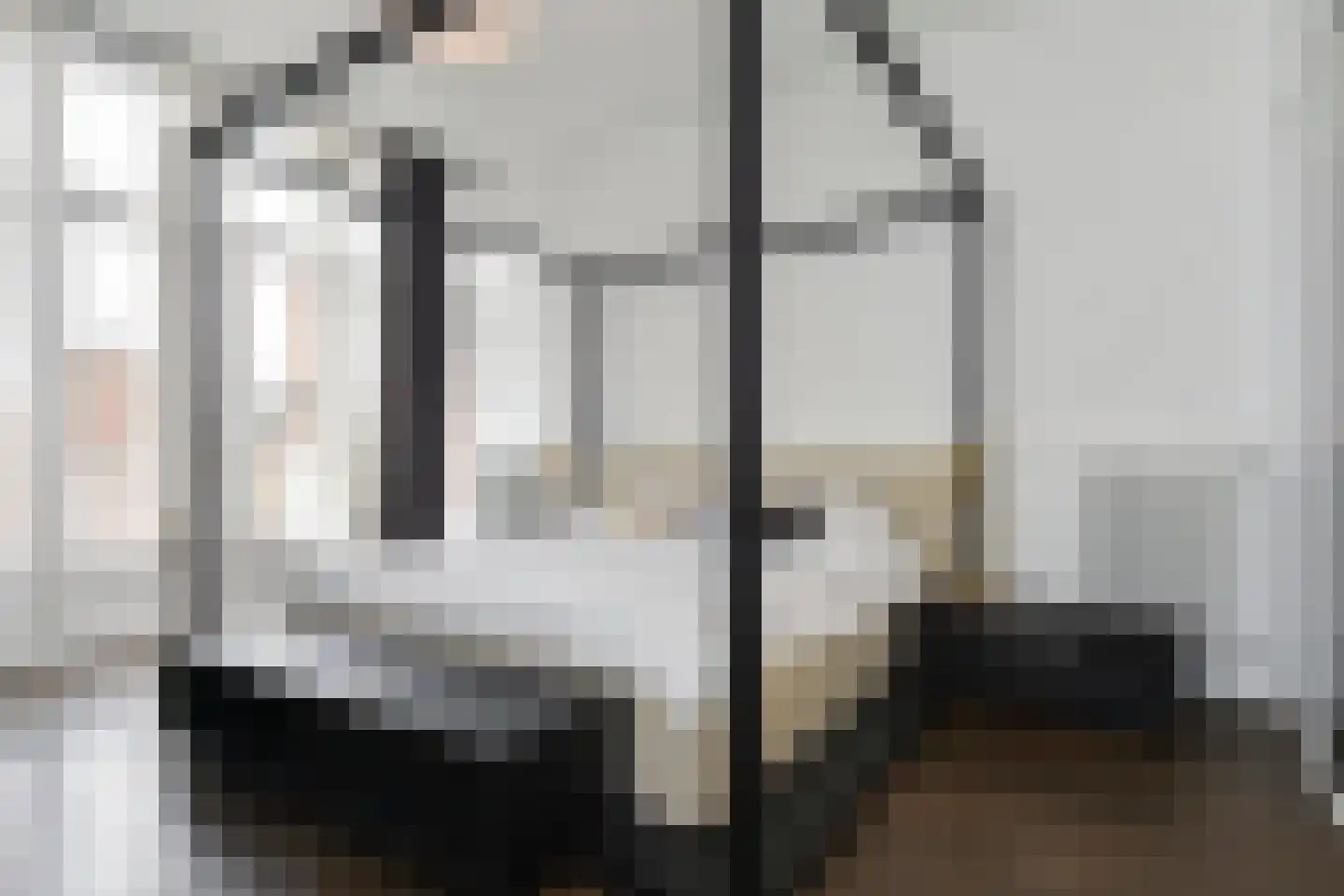 Frankenslag 316 Den Haag thumbnail 47