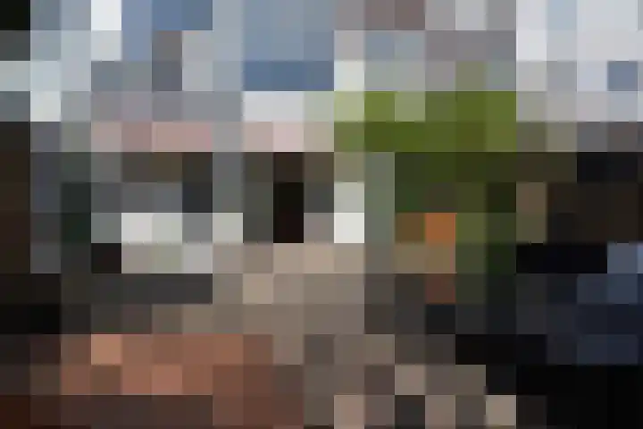 Frankenslag 346 Den Haag thumbnail 34