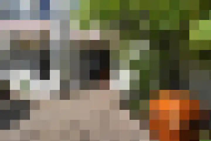 Frankenslag 346 Den Haag thumbnail 35