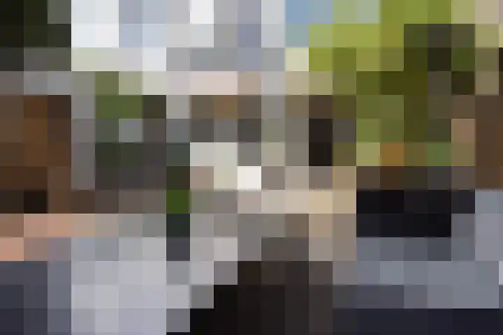 Frankenslag 346 Den Haag thumbnail 36