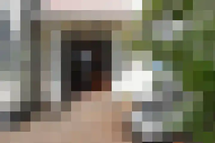 Frankenslag 346 Den Haag thumbnail 37