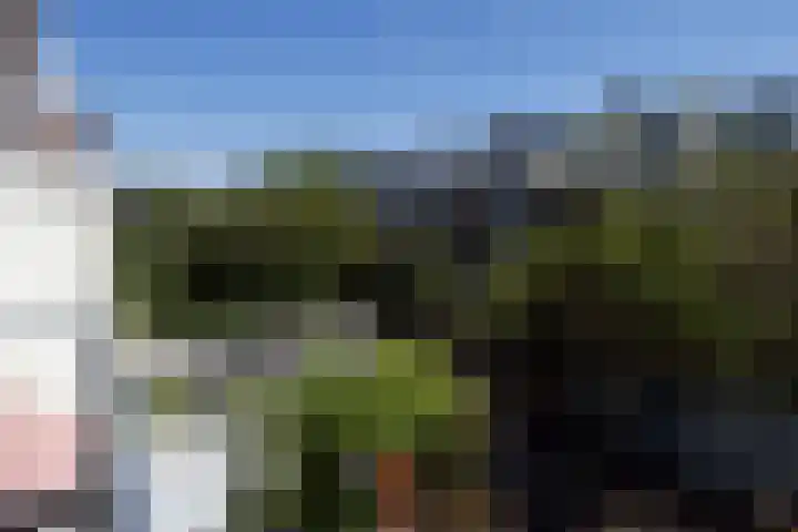Frankenslag 346 Den Haag thumbnail 54