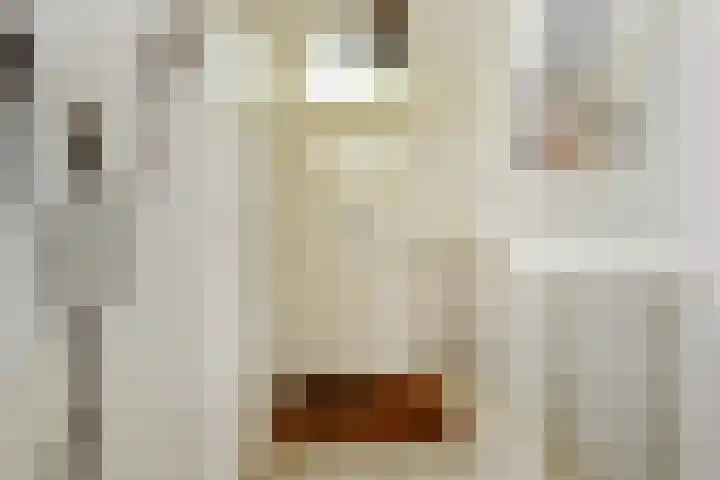 Frankenslag 346 Den Haag thumbnail 6