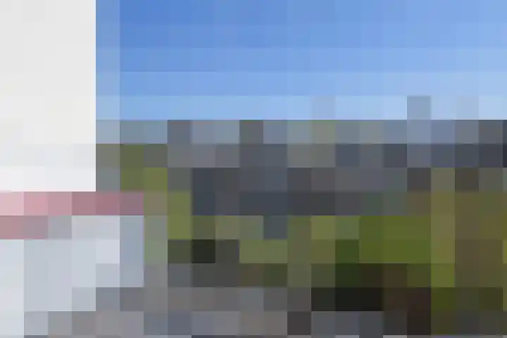 Frankenslag 346 Den Haag thumbnail 62