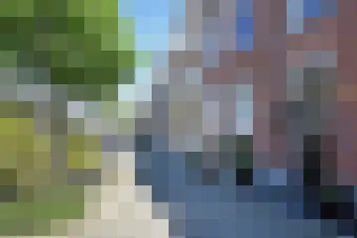 Frankenslag 346 Den Haag thumbnail 68
