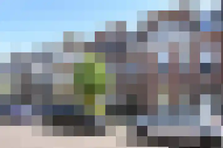 Frankenslag 346 Den Haag thumbnail 69