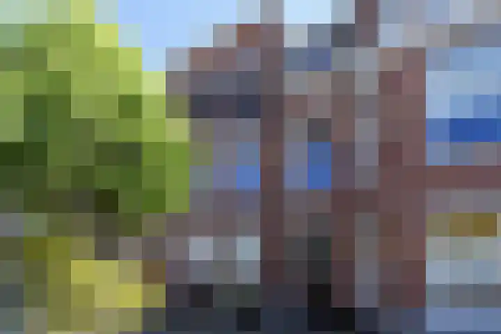 Frankenslag 346 Den Haag thumbnail 70