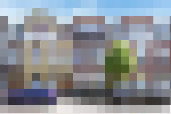 Frankenslag 346 Den Haag thumbnail 76