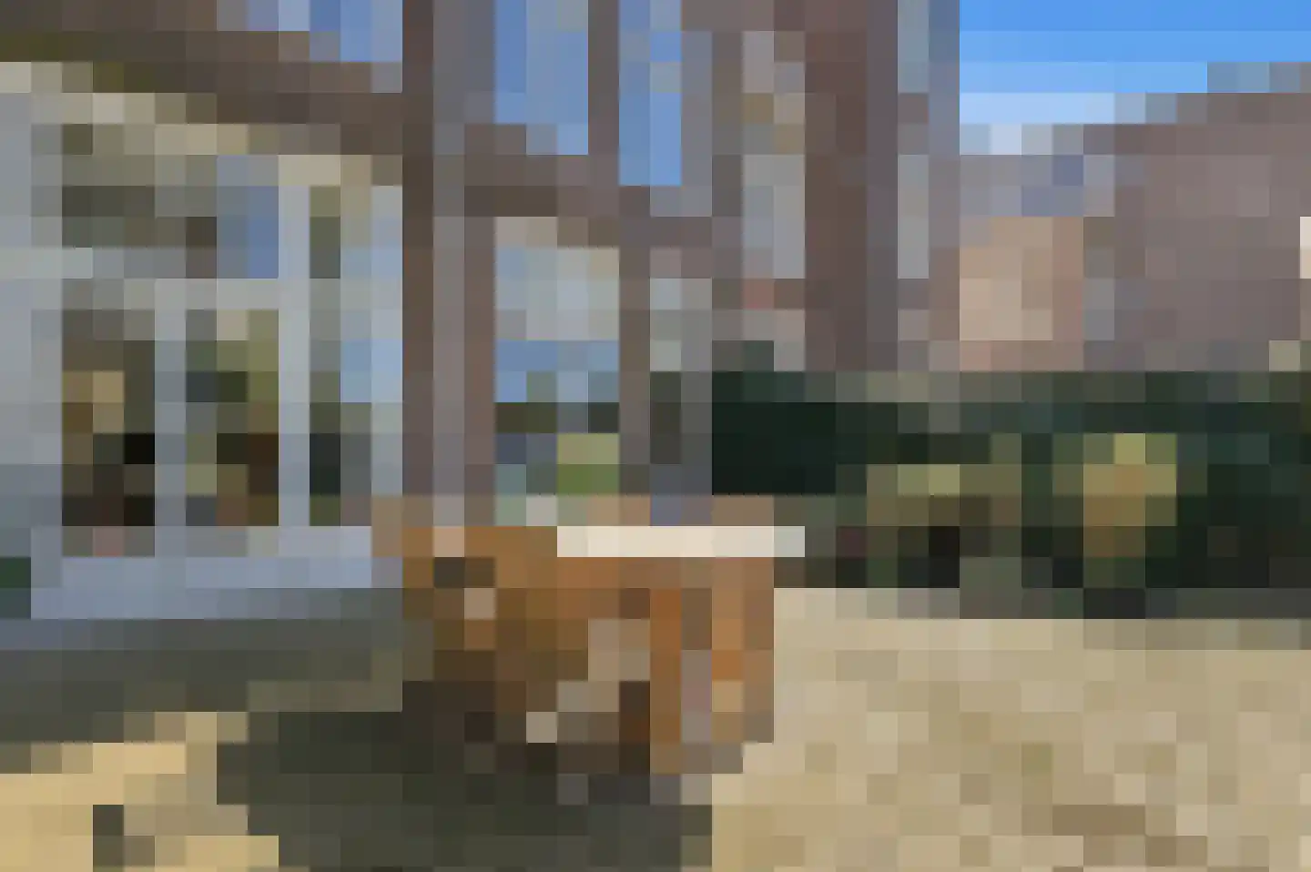 Frankenslag 353 Den Haag thumbnail 20