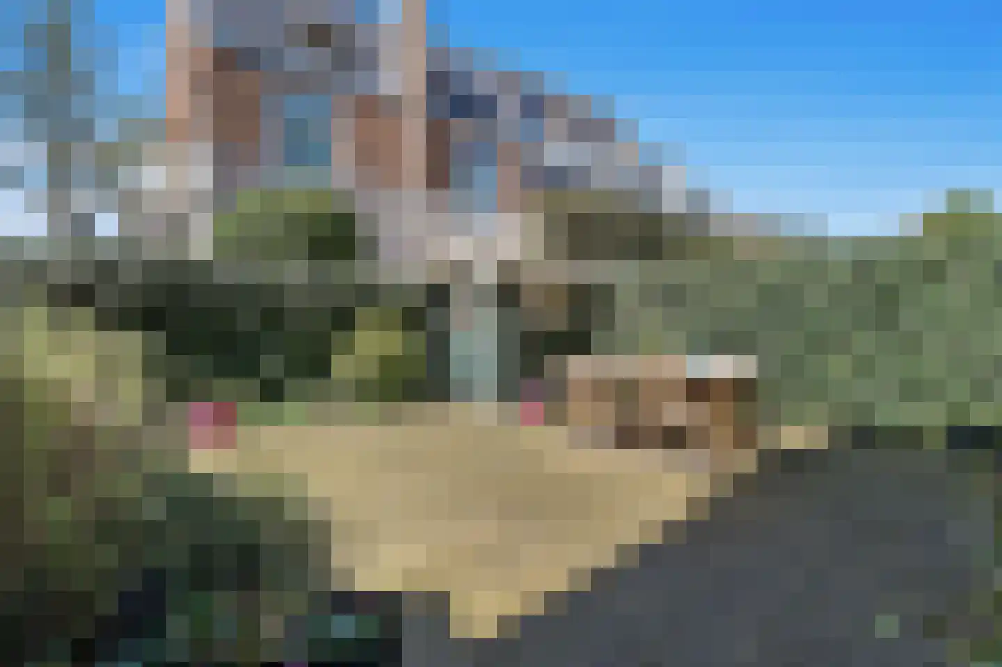 Frankenslag 353 Den Haag thumbnail 21