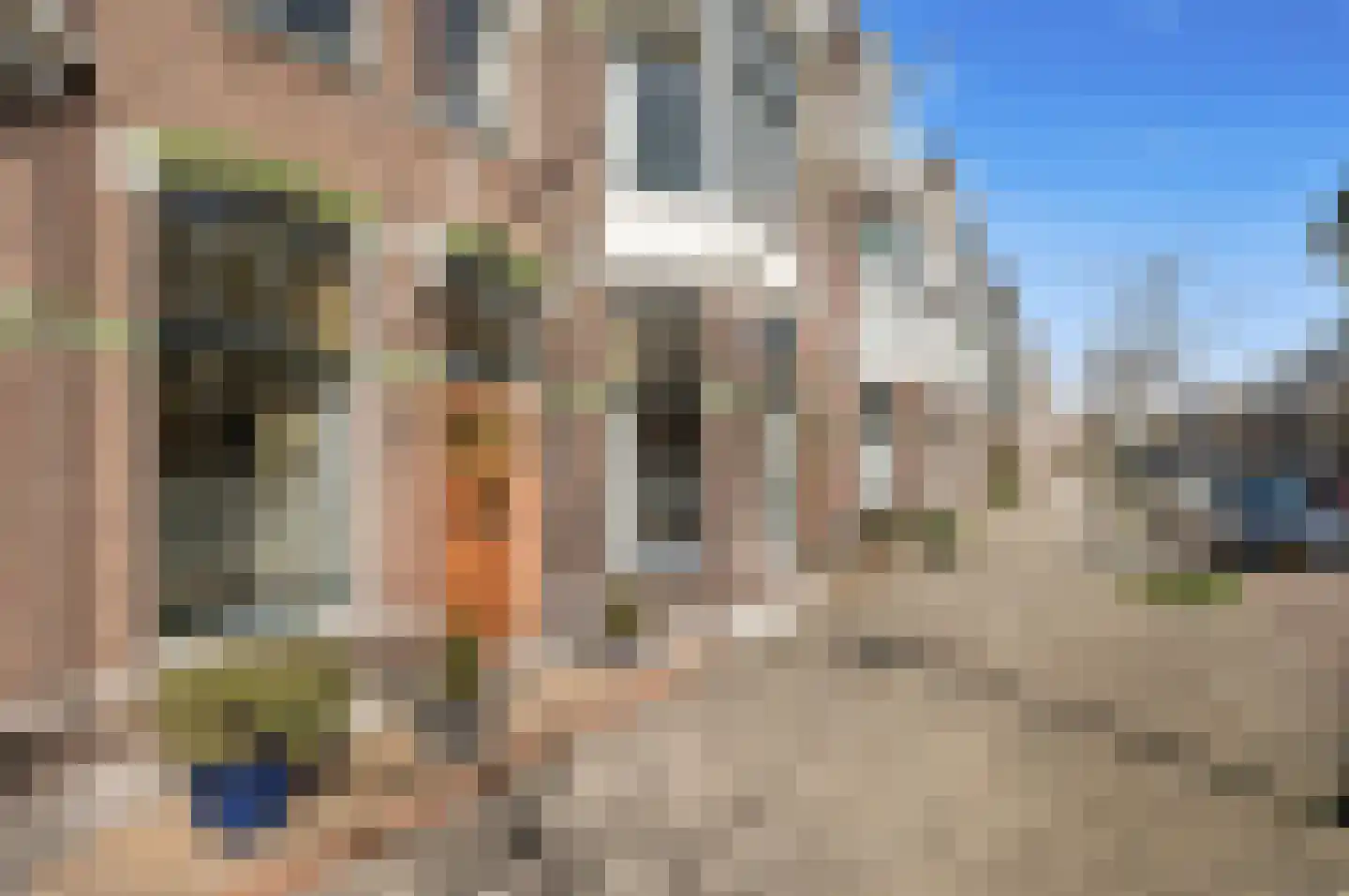 Frankenslag 353 Den Haag thumbnail 8