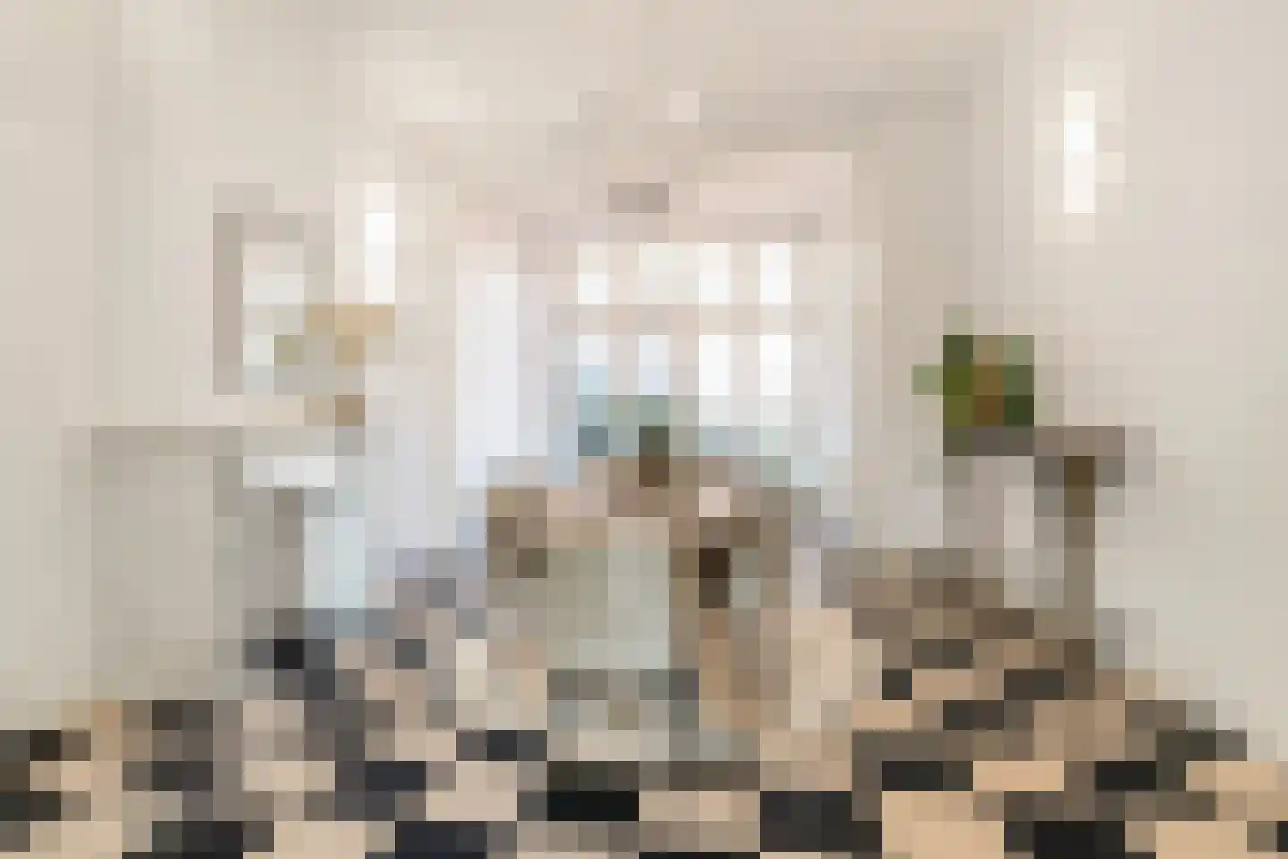 Frankenslag 357 Den Haag thumbnail 18