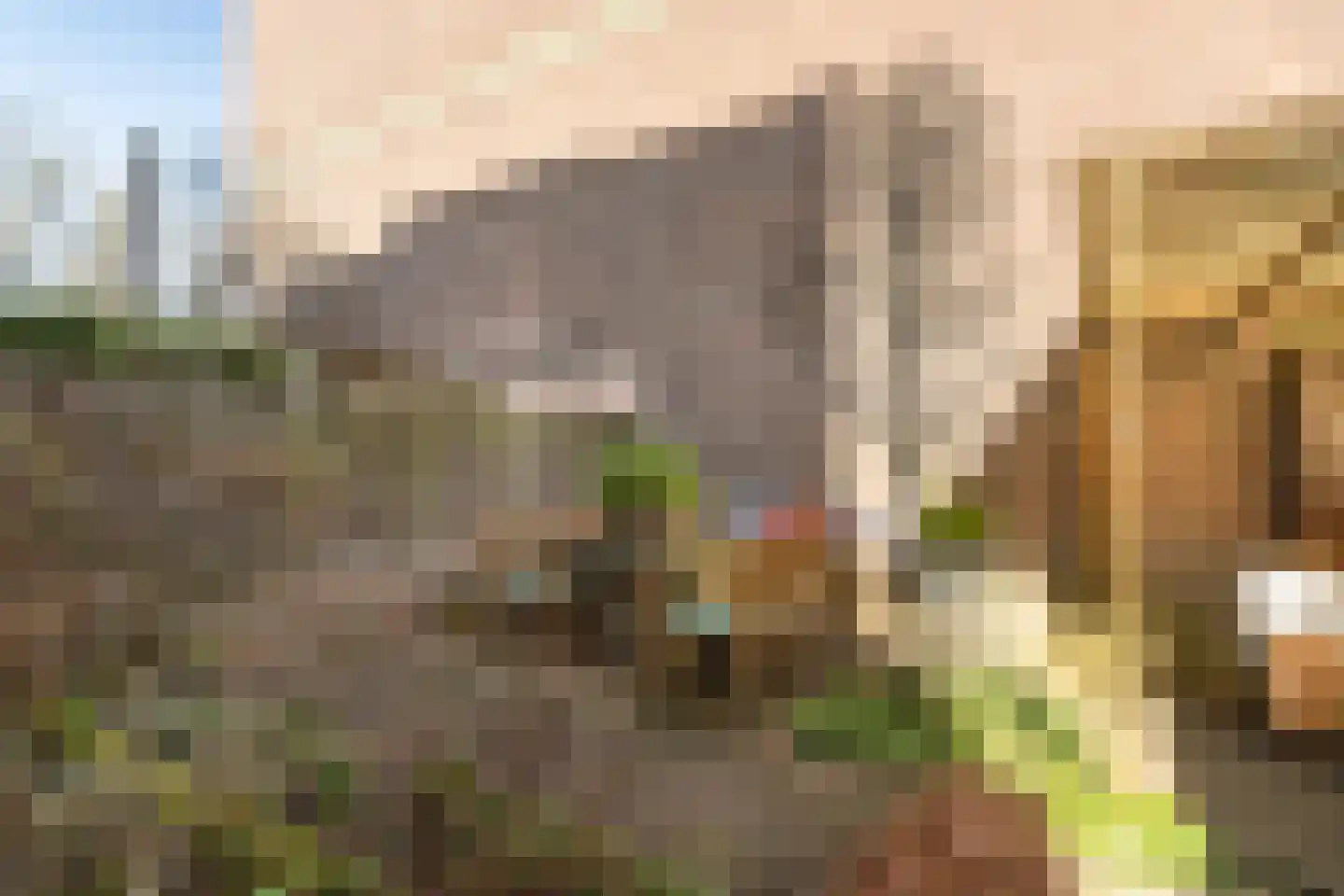 Frankenslag 357 Den Haag thumbnail 19