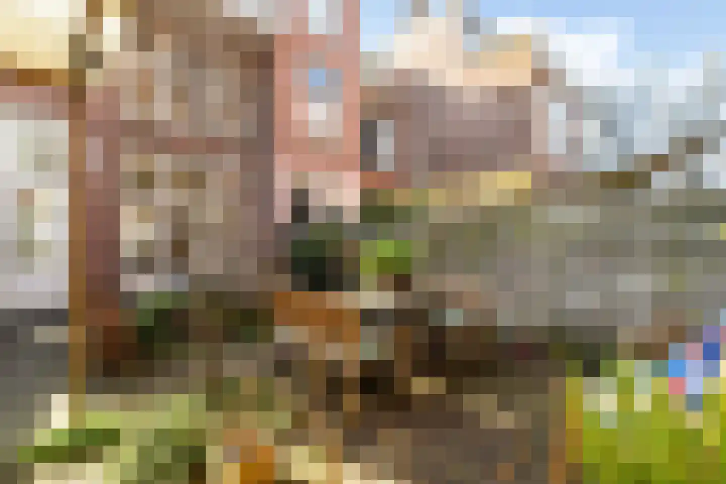 Frankenslag 357 Den Haag thumbnail 22