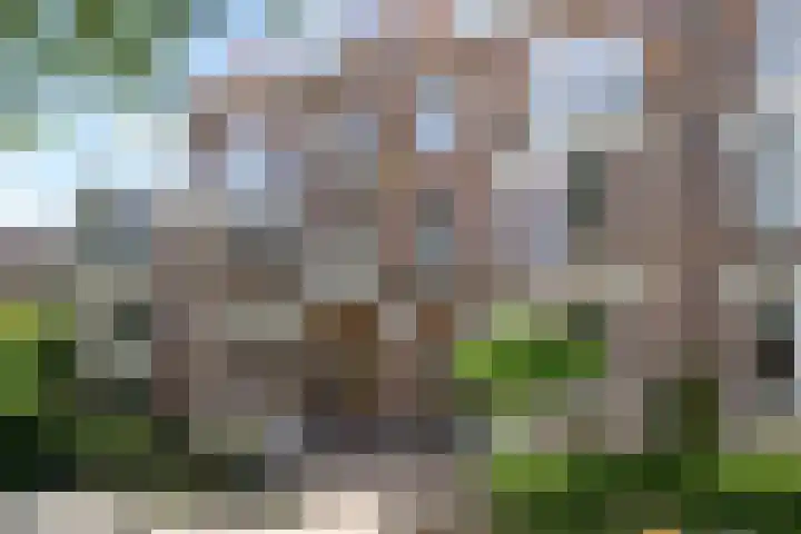 Frankenslag 57 in Den Haag