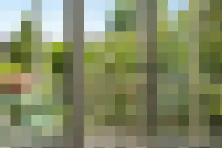 Frankenslag 86 Den Haag thumbnail 18