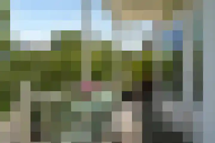 Frankenslag 86 Den Haag thumbnail 21