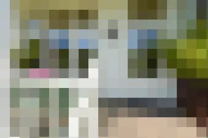 Frankenslag 86 Den Haag thumbnail 22