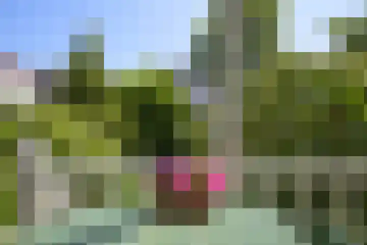 Frankenslag 86 Den Haag thumbnail 23
