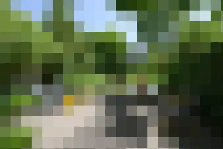 Frankenslag 86 Den Haag thumbnail 26