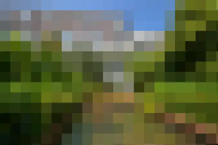 Frankenslag 86 Den Haag thumbnail 31