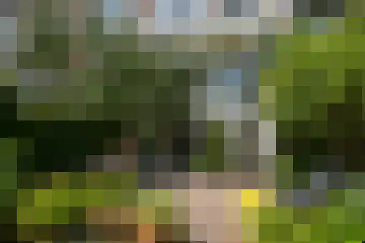 Frankenslag 86 Den Haag thumbnail 32