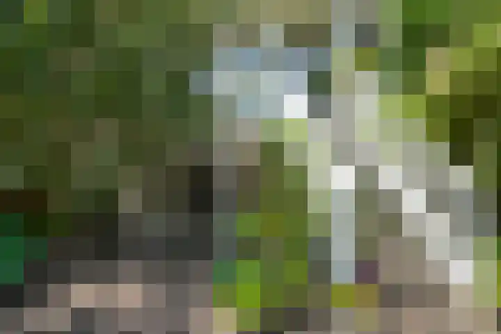 Frankenslag 86 Den Haag thumbnail 33