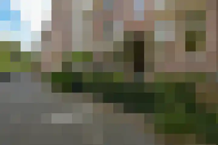 Frankenslag 86 Den Haag thumbnail 48
