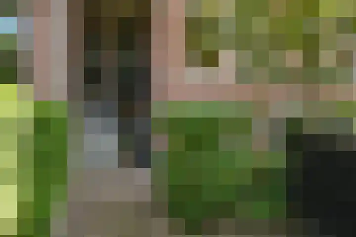 Frankenslag 86 Den Haag thumbnail 49