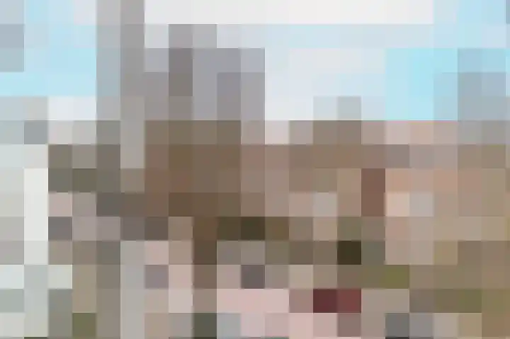 Frankenslag 98 Den Haag thumbnail 54