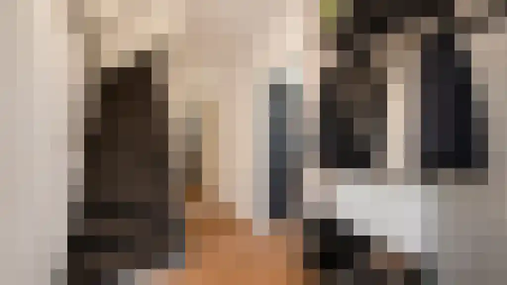 Frankensteyn 12 Hendrik-Ido-Ambacht thumbnail 5