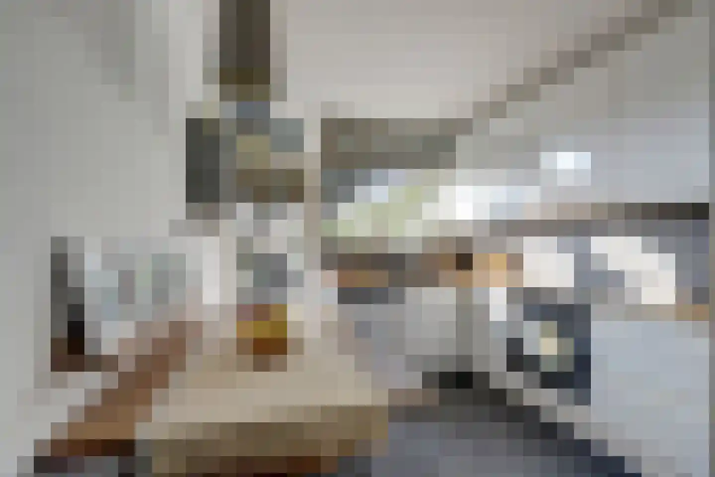 Frankensteyn 5 Hendrik-Ido-Ambacht thumbnail 15