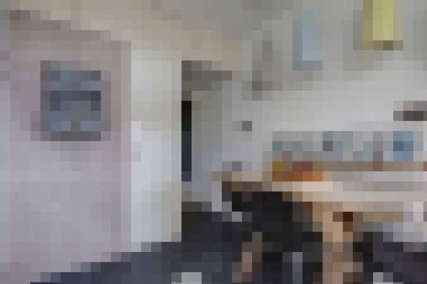 Frankensteyn 5 Hendrik-Ido-Ambacht thumbnail 19