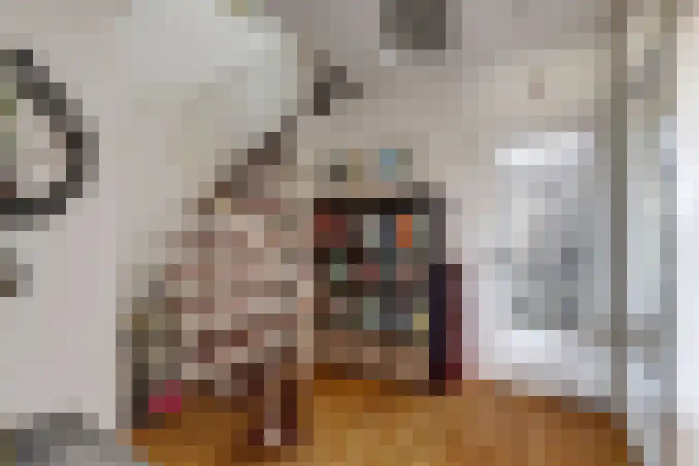 Frankensteyn 5 Hendrik-Ido-Ambacht thumbnail 20